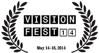 VisionFEST 14